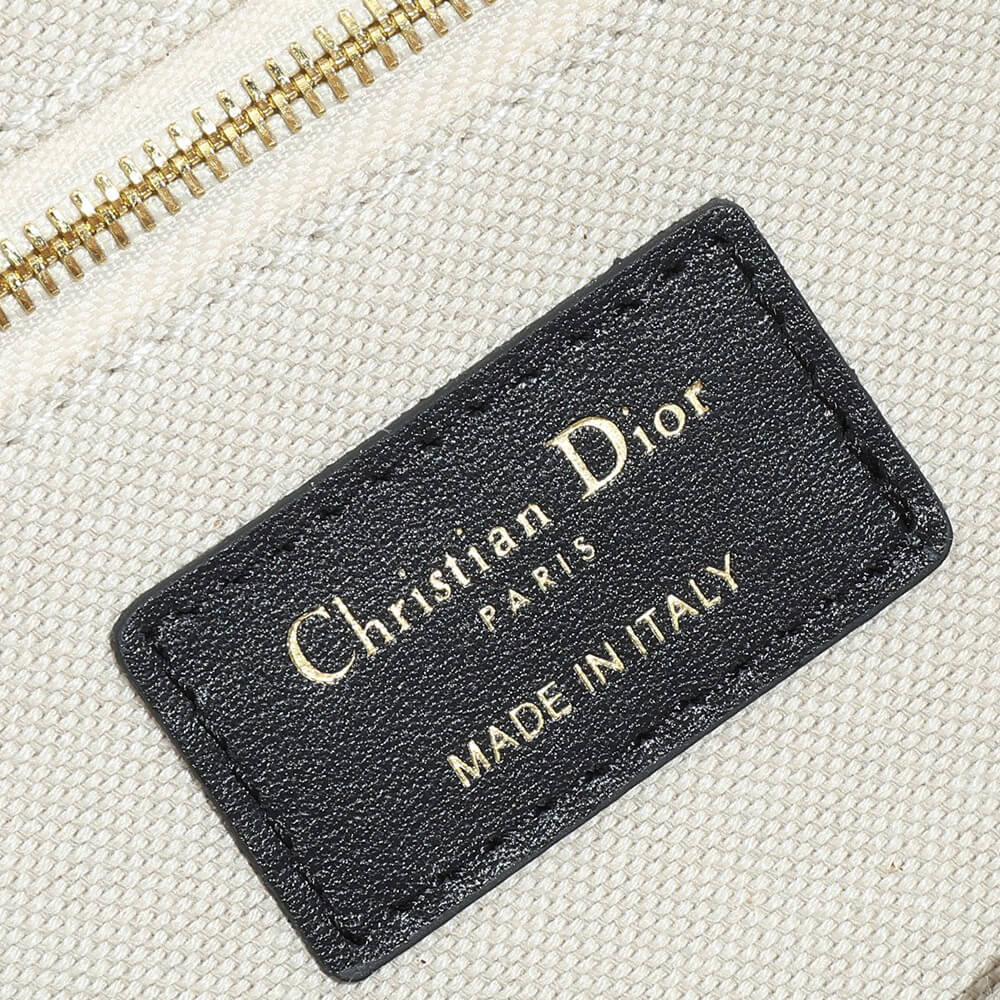 Small Dior Book Tote