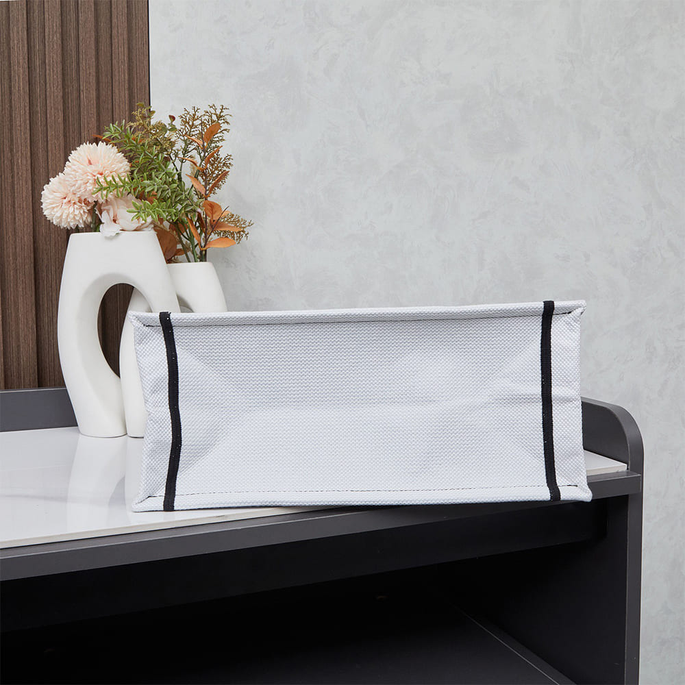 Dior Souvenir Medium Dior Book Tote