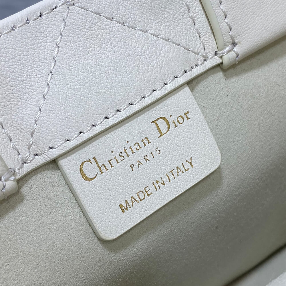 Mini Dior Book Tote
