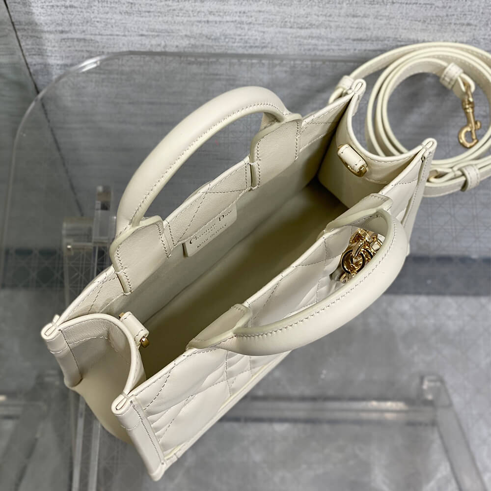 Mini Dior Book Tote
