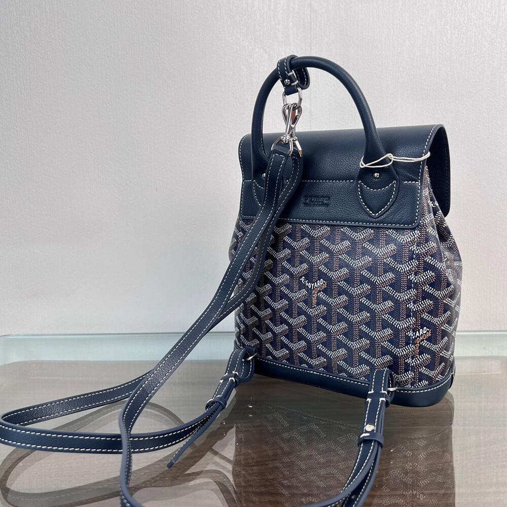 Goyard Alpin Mini Backpack