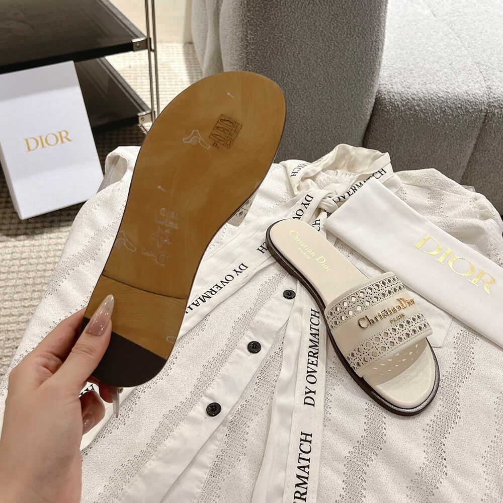 DIOR D-Lane Slide
