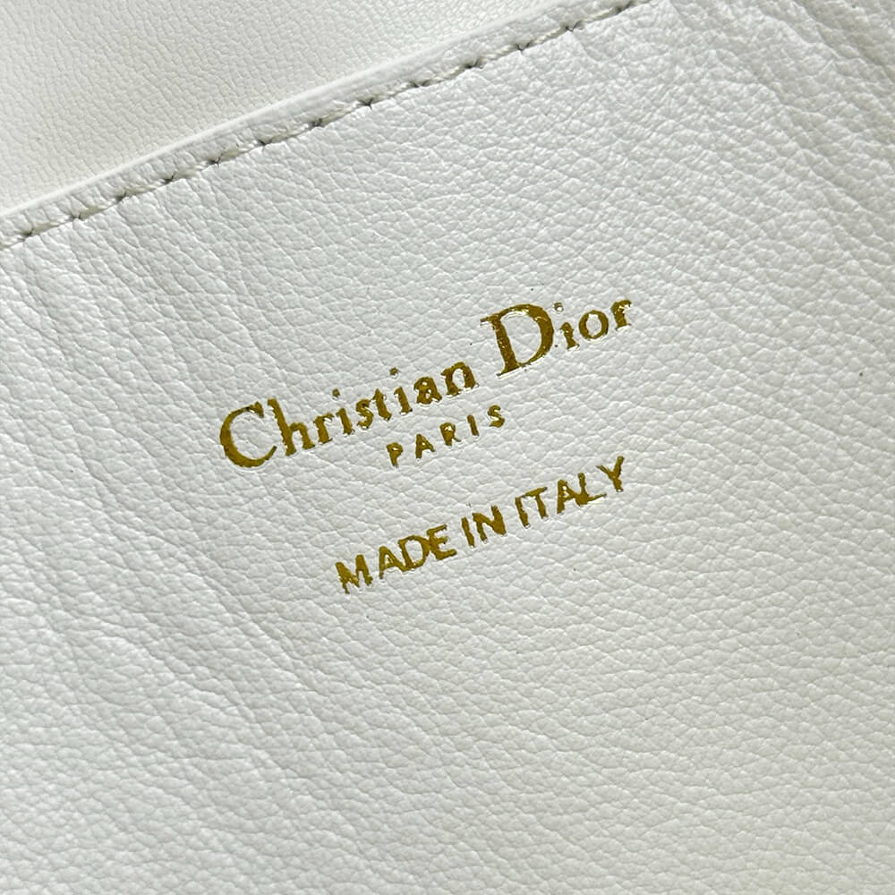 Dior Walk in Dior Purse