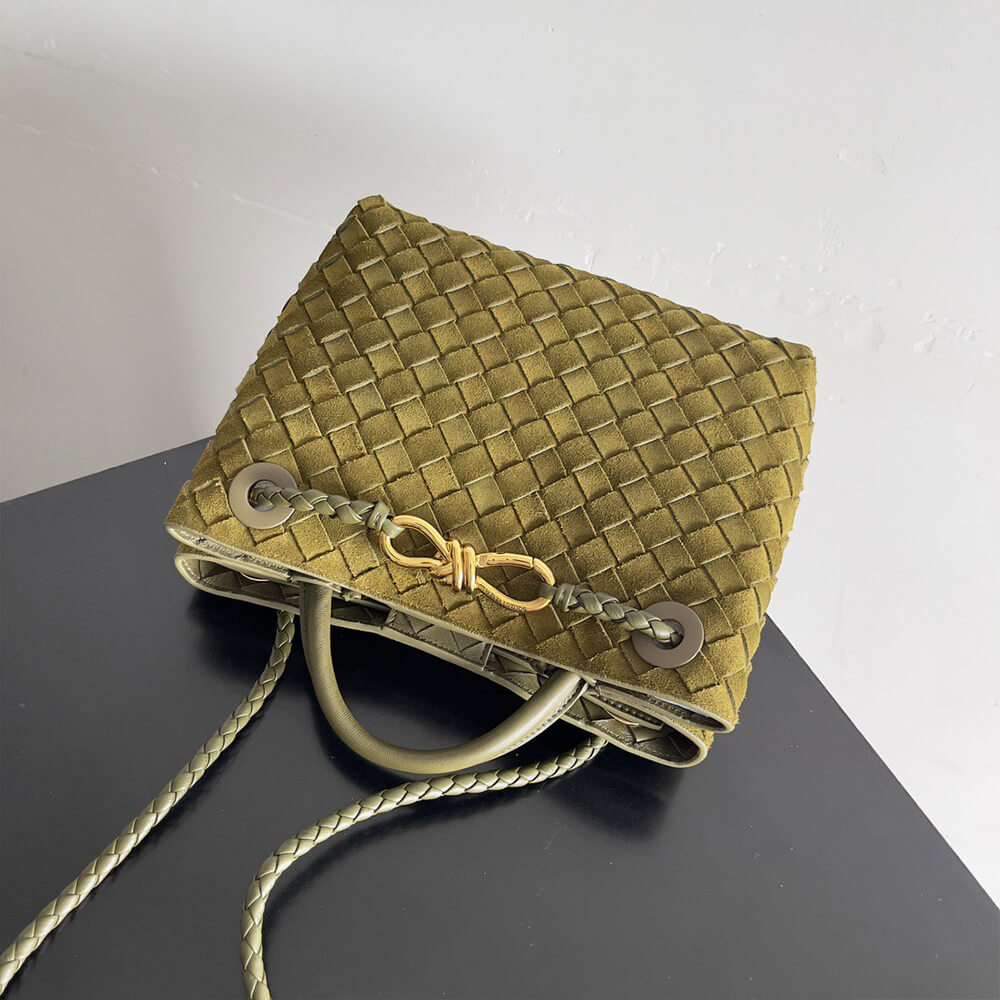 Bottega Veneta Small Andiamo