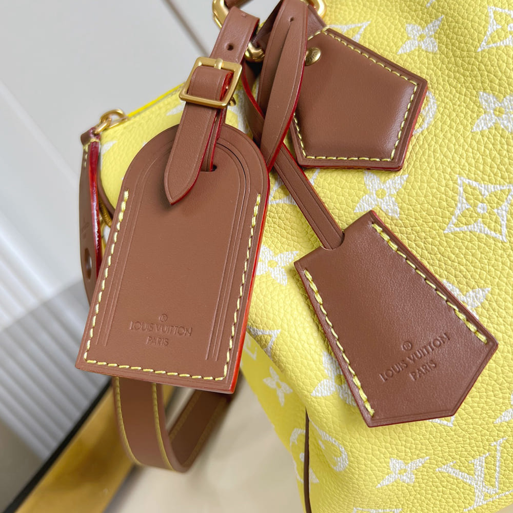 LV Speedy P9 Bandouliere 30(HIGH-END GRADE)