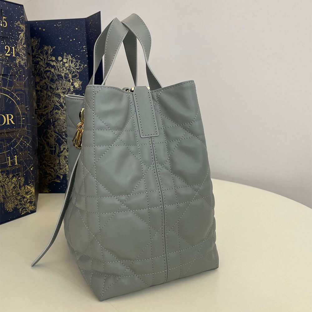 Medium Dior Toujours Vertical Tote Bag(high-end grade)